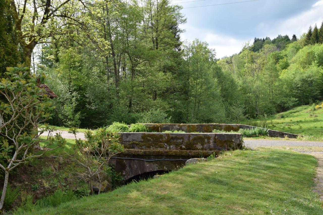 Vacance Conviviales Dans Les Vosges 8 Gites Ban-de-Sapt Екстериор снимка