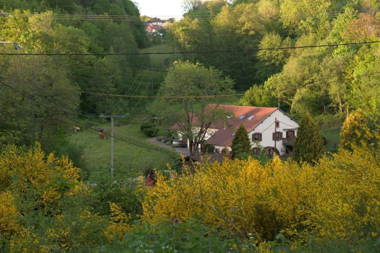 Vacance Conviviales Dans Les Vosges 8 Gites Ban-de-Sapt Екстериор снимка
