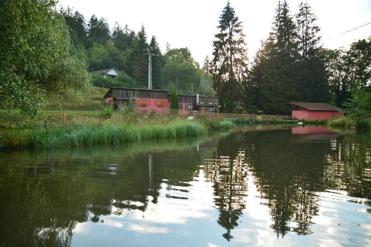 Vacance Conviviales Dans Les Vosges 8 Gites Ban-de-Sapt Екстериор снимка
