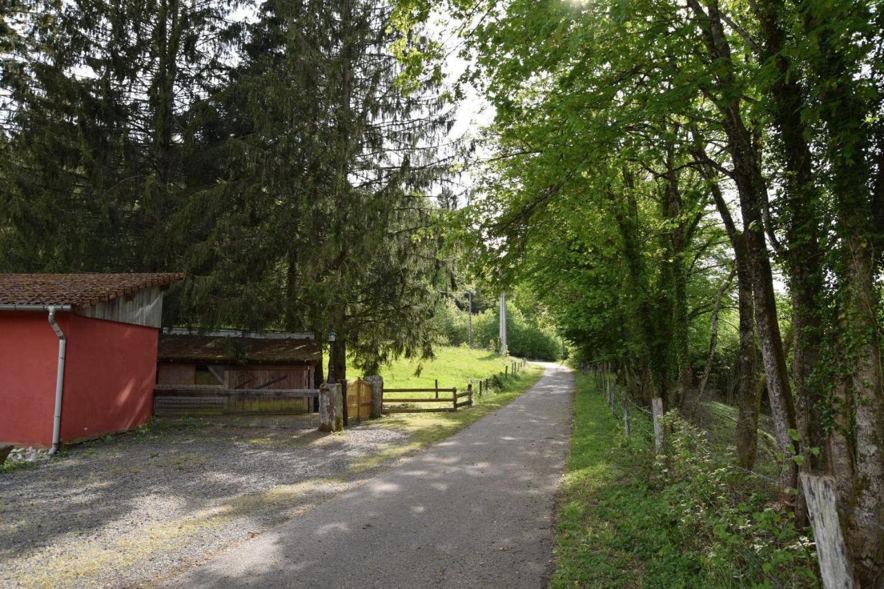 Vacance Conviviales Dans Les Vosges 8 Gites Ban-de-Sapt Екстериор снимка